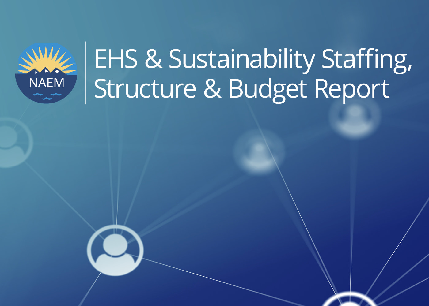 2020 EHS&S Staffing, Structure & Budget Report