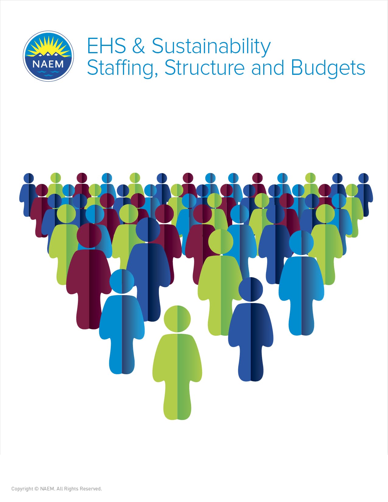 ehs-s-staffing-structure-and-budgets-benchmark